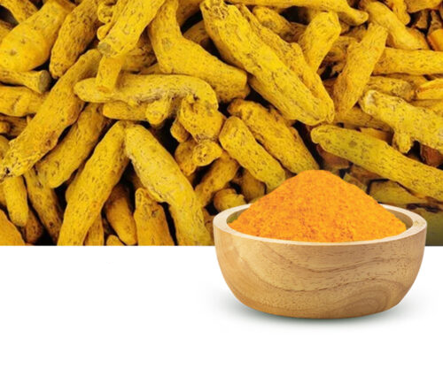 Premium turmeric powder